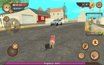 Cat Sim Online: Play with Cats