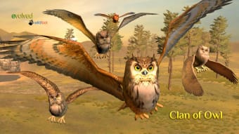 Clan of Owl