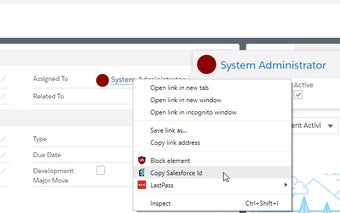 Salesforce Id CopyPasteGo