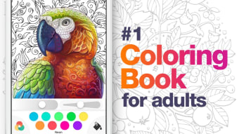 Coloring Book For Adults - Art