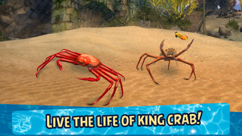 Sea Crab Simulator 3D