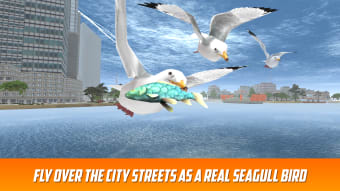 Seagull Bird Survival Simulator 3D