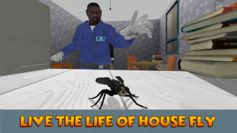 House Fly Insect Survival Simulator