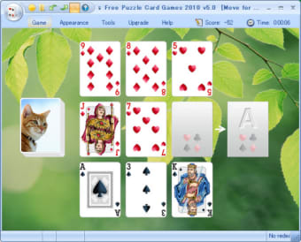 Free Puzzle Card Games 2010