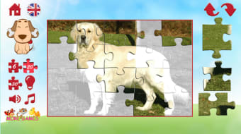 Puzzles of a dog