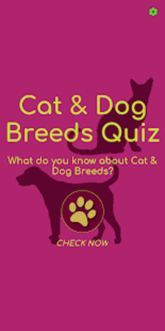 Cat  Dog Breeds Quiz