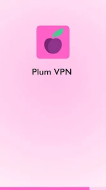 Plum VPN