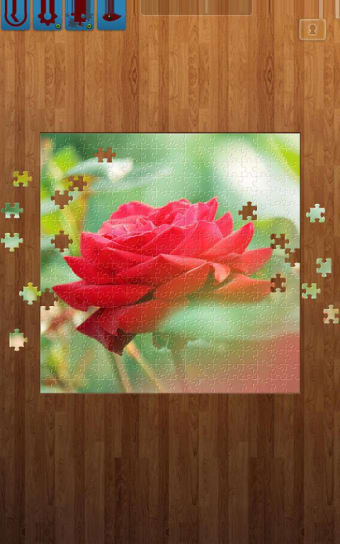 Flower Jigsaw Puzzles