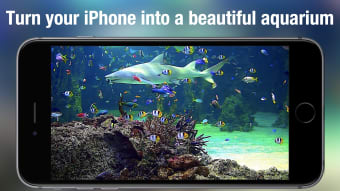 Aquarium Live - Real Fish Tank