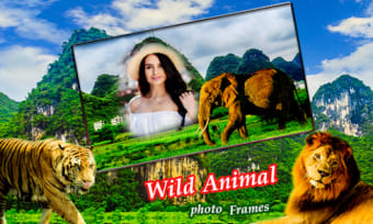 Wildlife Photo Frames Ultra HD