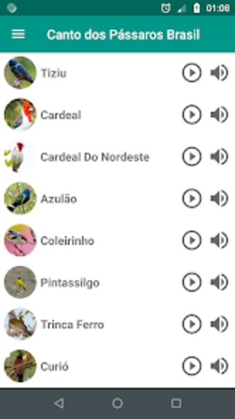 Canto Dos Pássaros Brasil