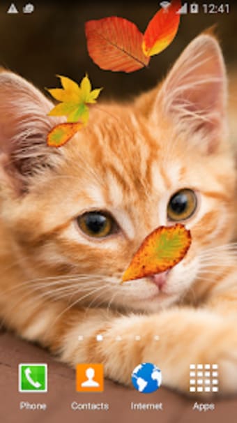 Cute Autumn Live Wallpaper