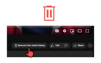 Remove from watch history button for YouTube Player