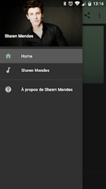 Shawn Mendes mp3 offline
