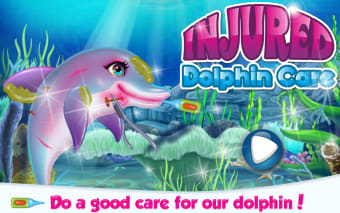 Injured Dolphin Care