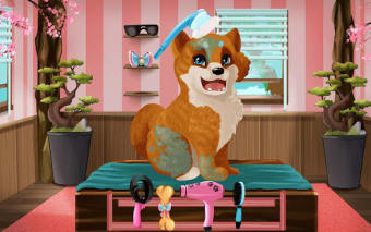 Become a Puppies Groomer