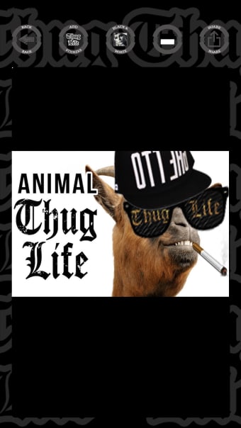 Thug Life photo stickers