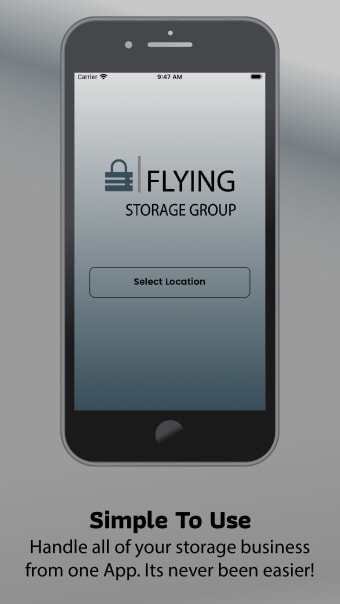 Flying Storage Group