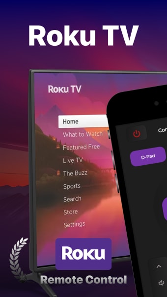 RokRemote TV Remote Controller