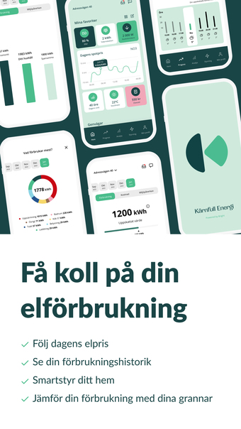 Kärnfull Energi