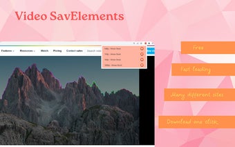 Video SavElements