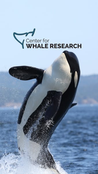 Center for Whale Research