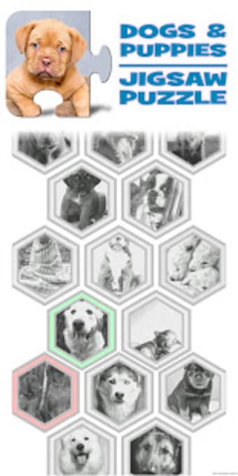 Dogs  Puppies Puzzles