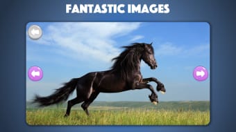 Horse and Pony jigsaw puzzles