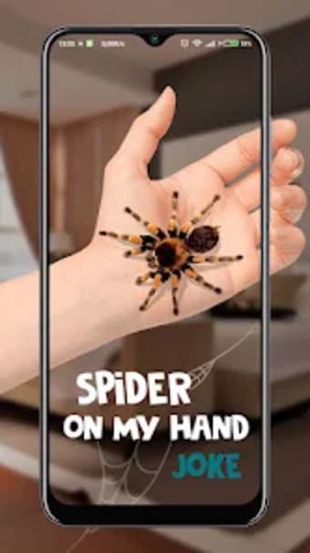 Spider on My Hand Joke