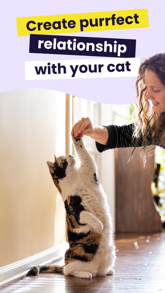 Meowz: Cat Training and Care