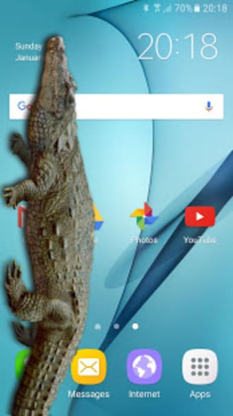 Crocodile in Phone Big Joke