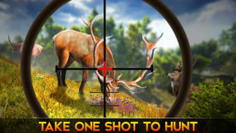 Jungle Deer Hunting