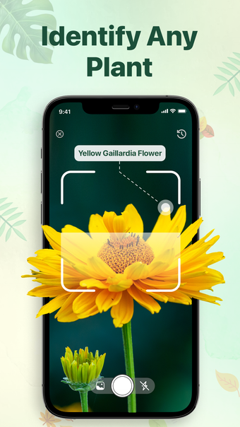 PlantAi: Plant Identifier App