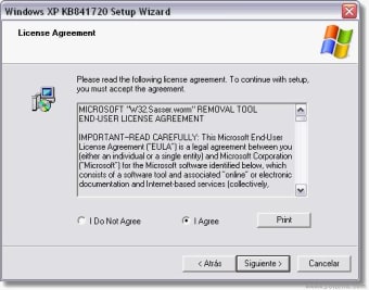 Microsoft Sasser A-F Worm Removal Tool