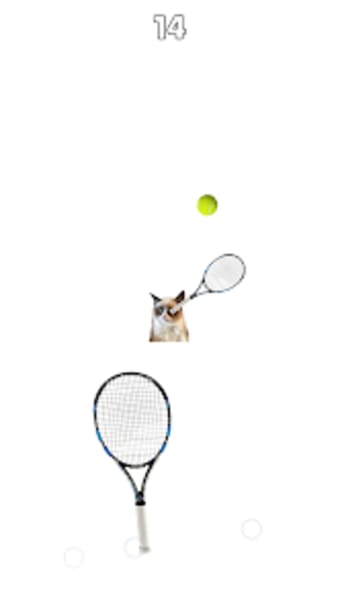 Cat Playing Tennis