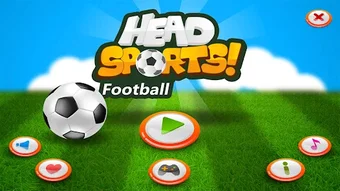 Funny Sports Footballs