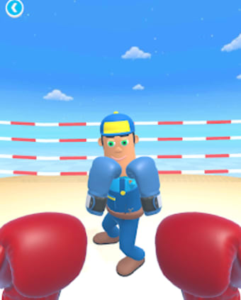 Boxing Fury
