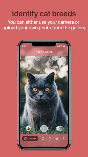 Cat Scanner