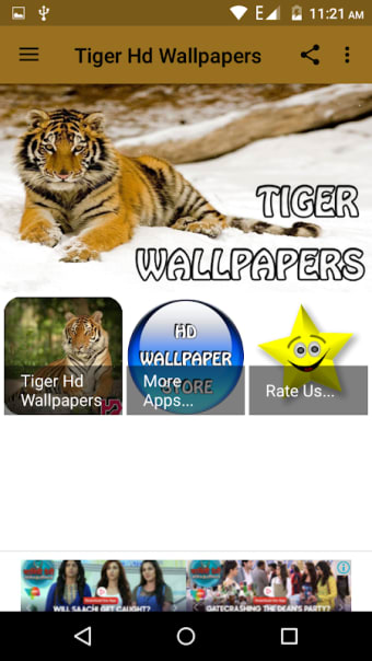 Tiger Hd Wallpapers
