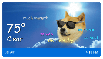 Weather Doge