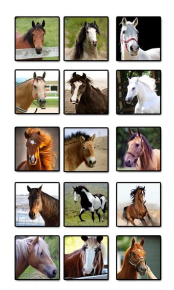 Horse Sounds and Ringtones