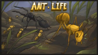 Ant Life Beta Testing