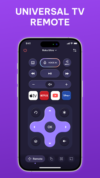 Universal TV Remote Voice AI