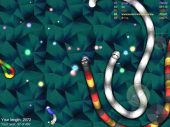 Slither worm vs Venom snake