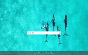 Dolphins Tab