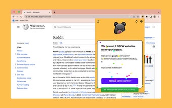 Incognito Bear: Your Browser History Cleaner