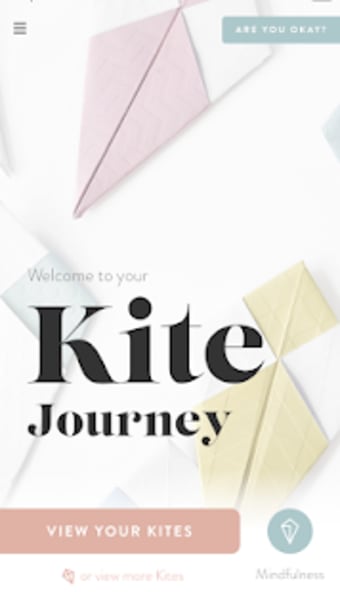 The Kite Program