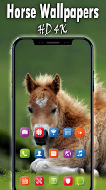 Horse Wallpaper HD 4K Horse backgrounds 2019