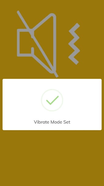 Vibrate Mode / Silent Mode Switch
