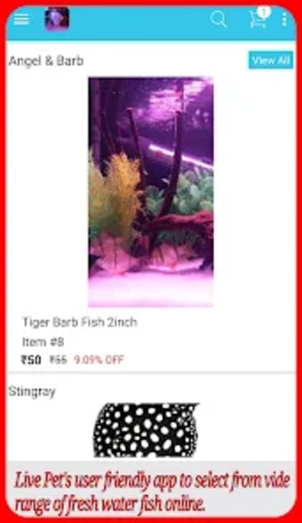 LIVE PETS - Buy aquarium fish